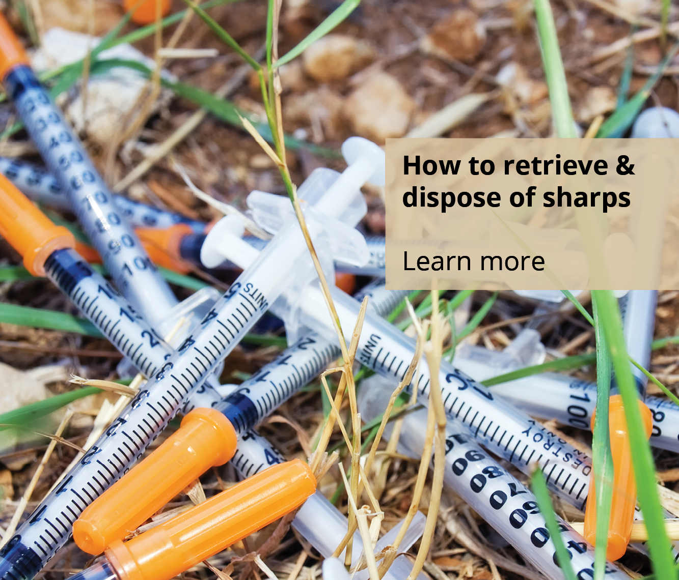 Algoma Public Health Home