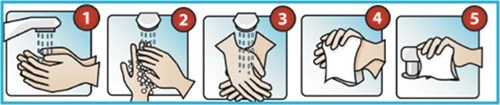 5 steps to successfully cleaning your hands