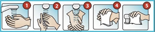 5 steps to successfully cleaning your hands