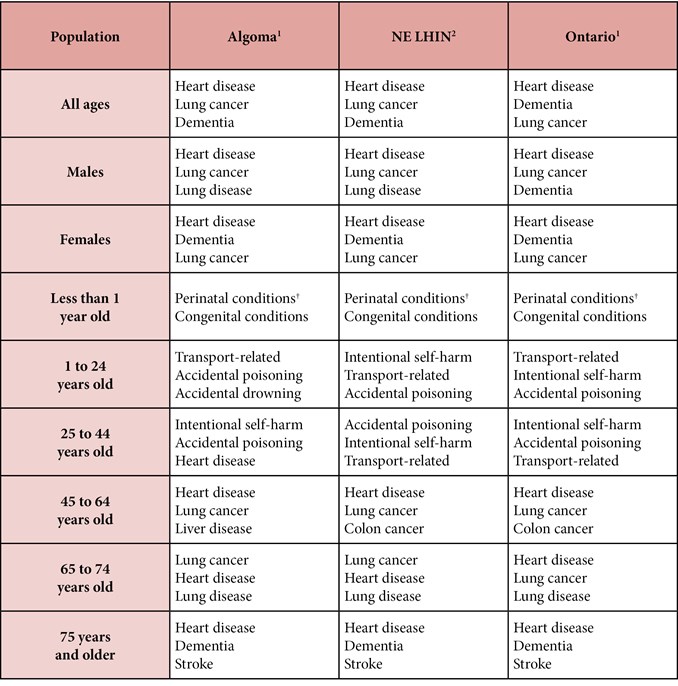 Leading causes of mortality (2009 - 2012)