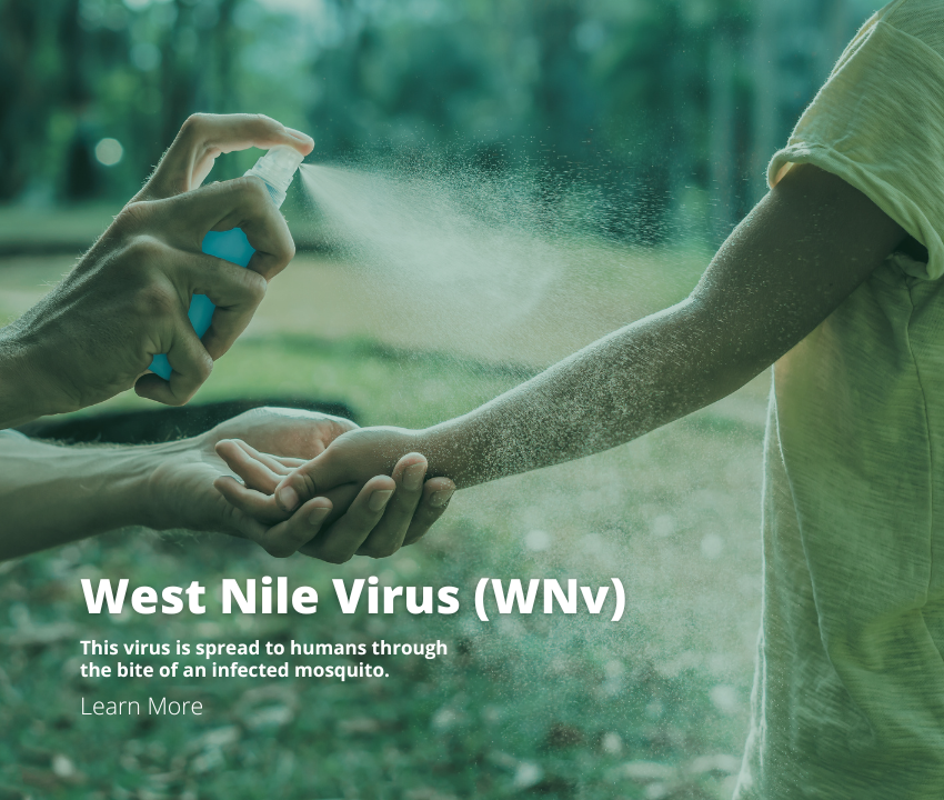 West Nile Virus (WNv)