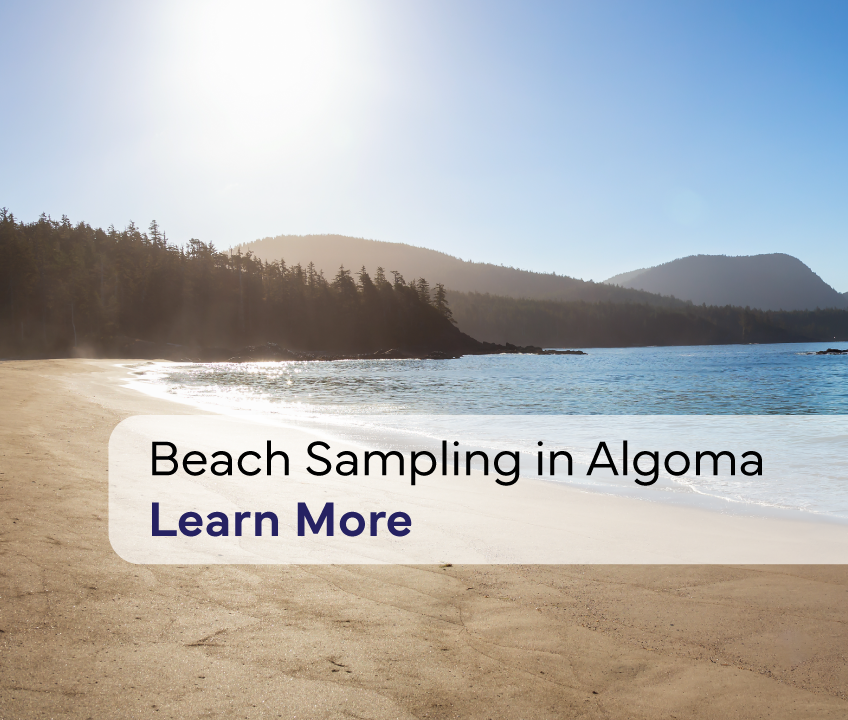 Beach Sampling in Algoma