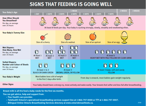 Infographic depicting baby's age and the different signs that feeding is going well