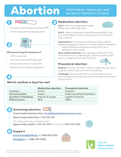 Algoma Public Health Abortion Infographic 2023