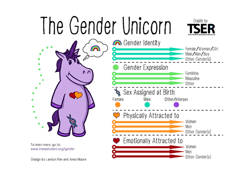 A photo of the Gender Unicorn.