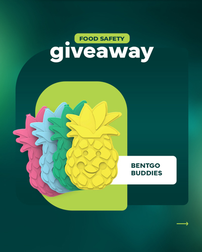 Bentgo Buddies Ice Packs